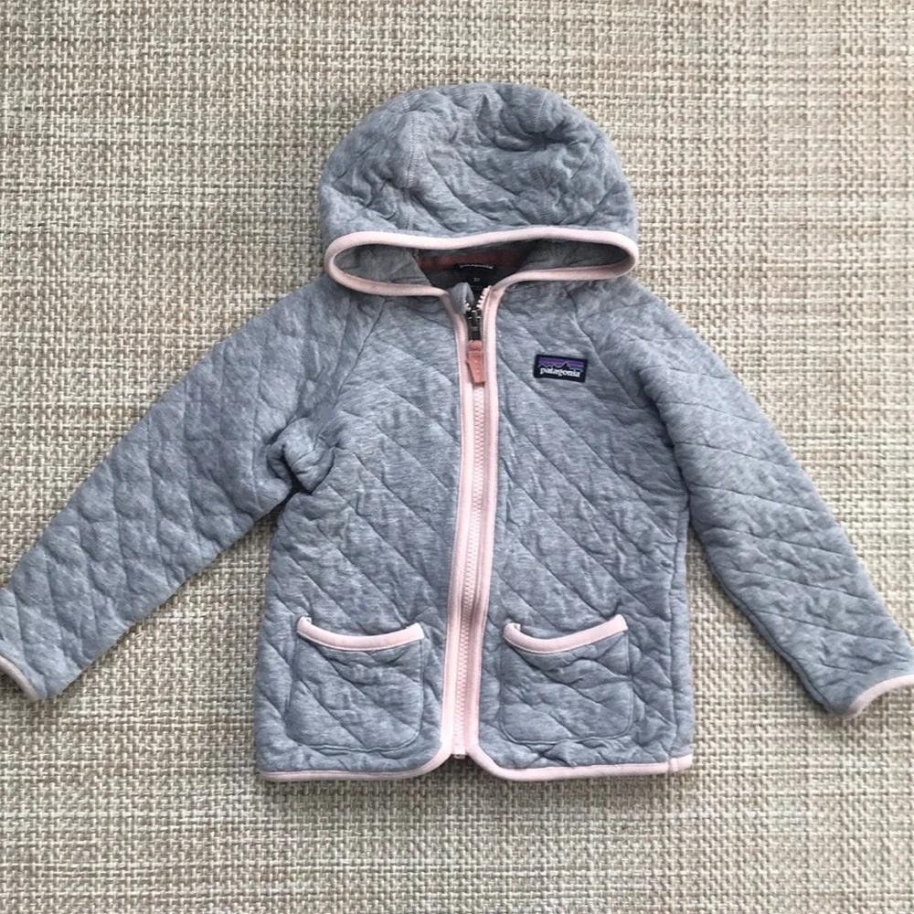 Patagonia Organic Hoody (size 3T)
